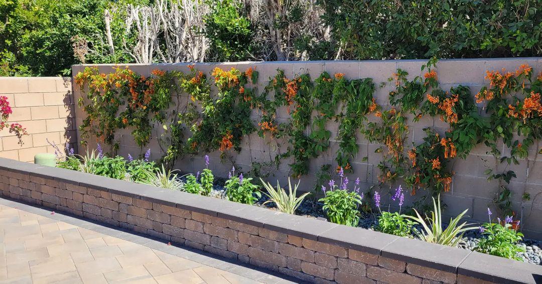 Retaining walls with plants